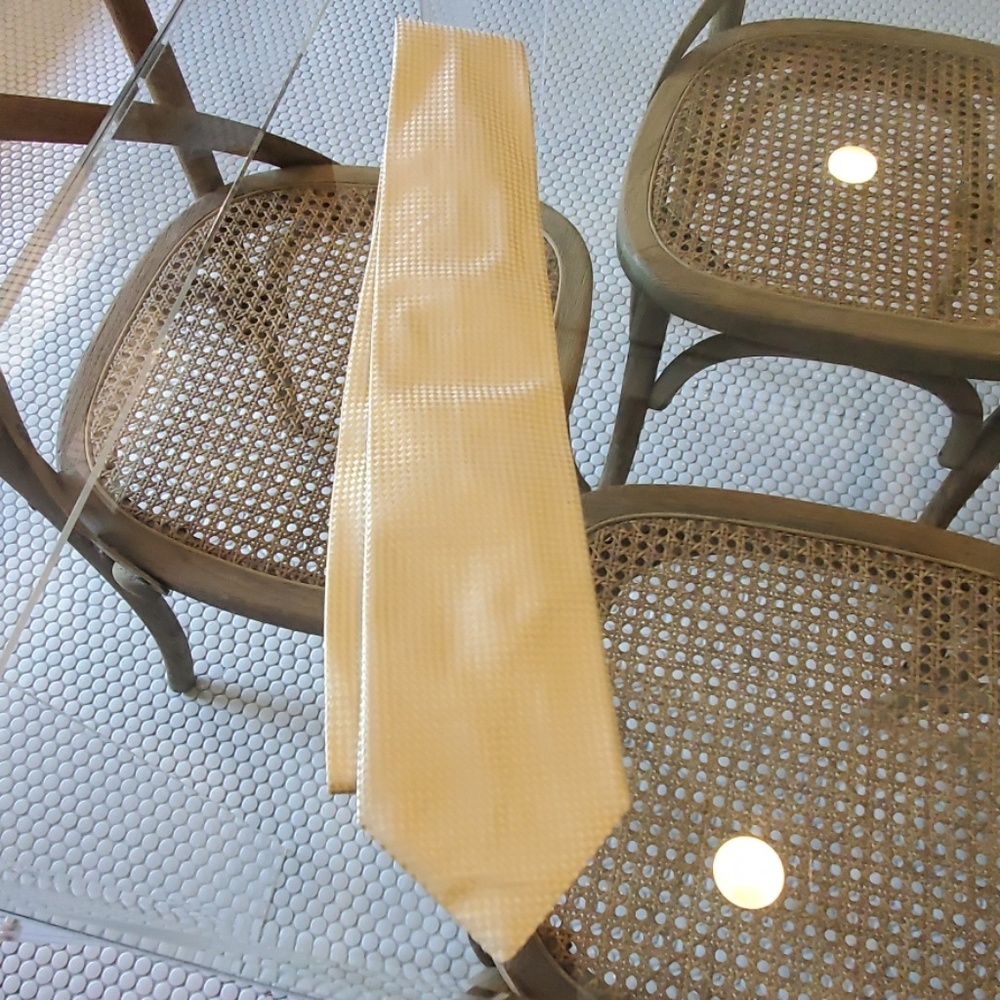 Gianfranco Ferre Tie